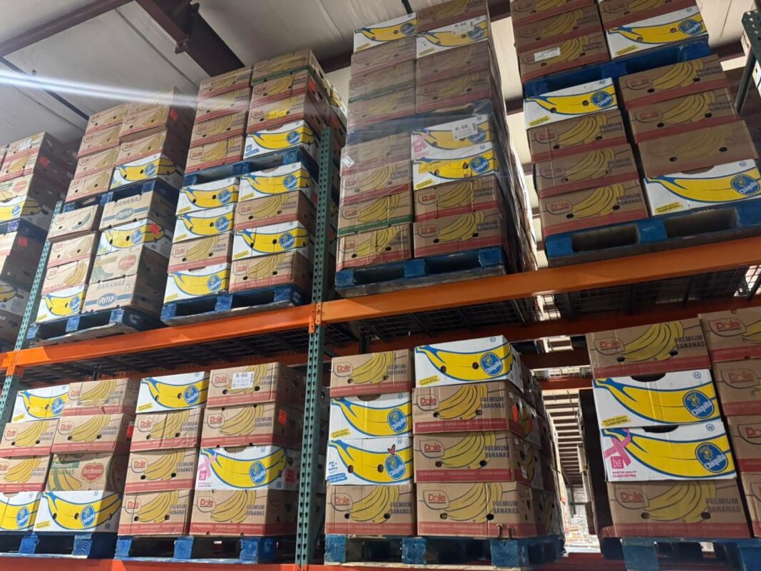 Banana box grocery pallets with cereal and canned goods